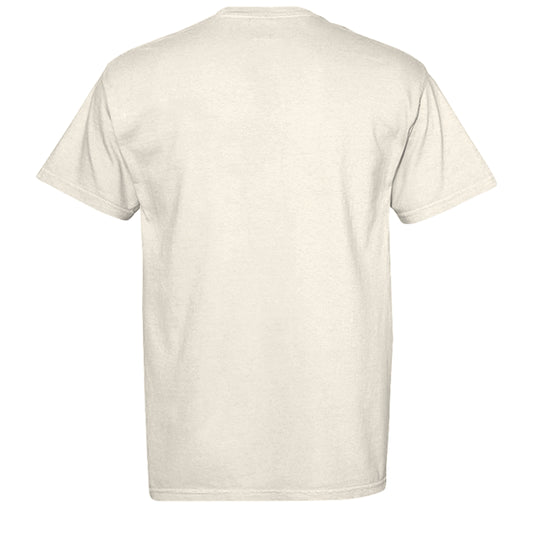 IVORY - C1717 - BACK